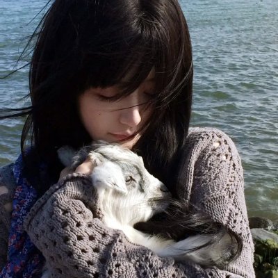 夏洛克：未叙之章